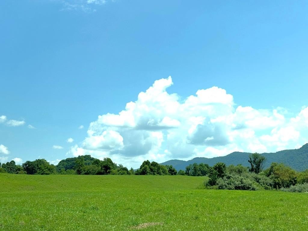 100 Acres Land in Jenkins