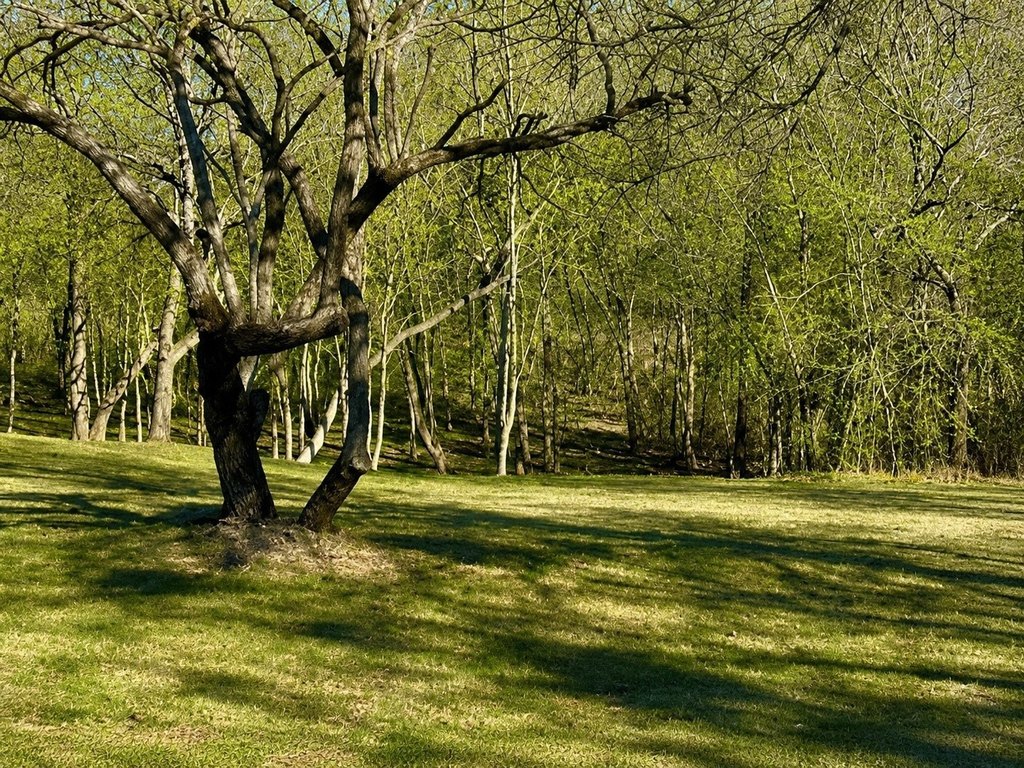 Picture 7