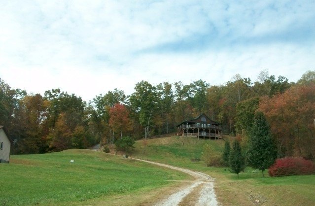 Picture 6
