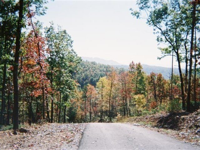 Picture 2