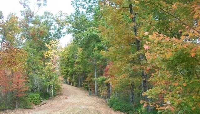 Picture 8