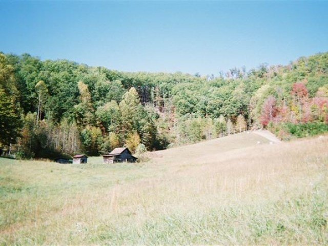 Picture 7