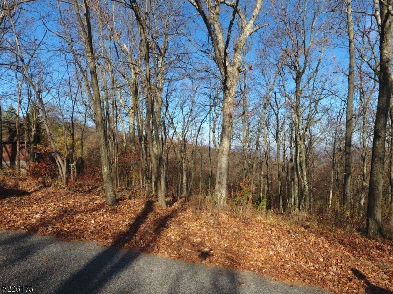 Picture 3