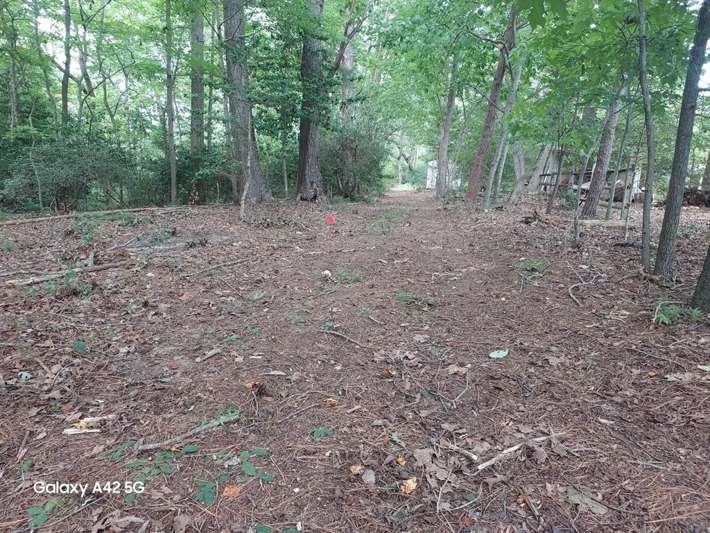 Picture 3