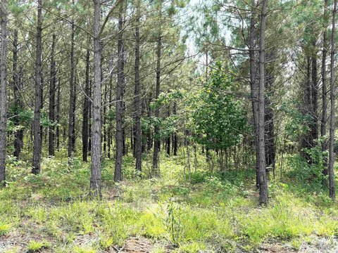 Residential Land in Sheridan, AR