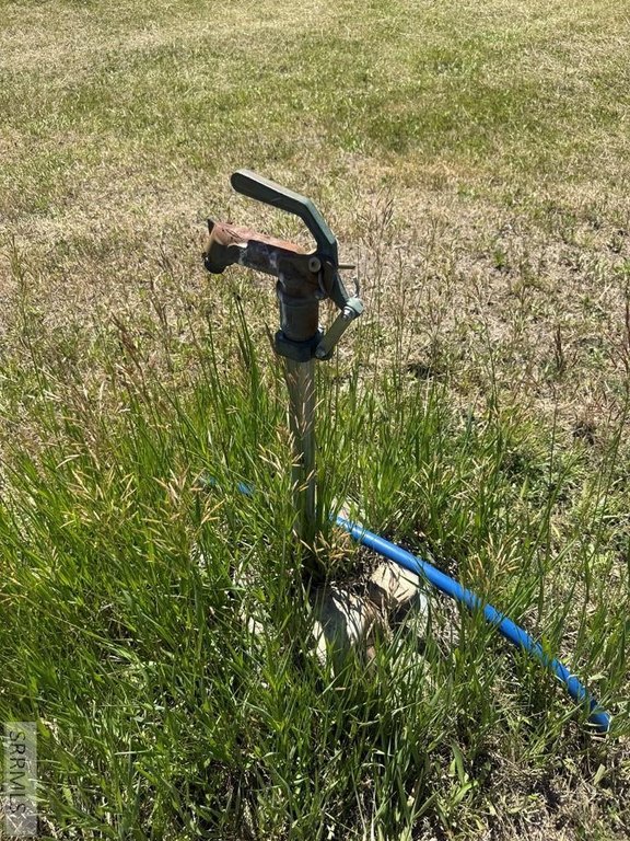 Picture 3