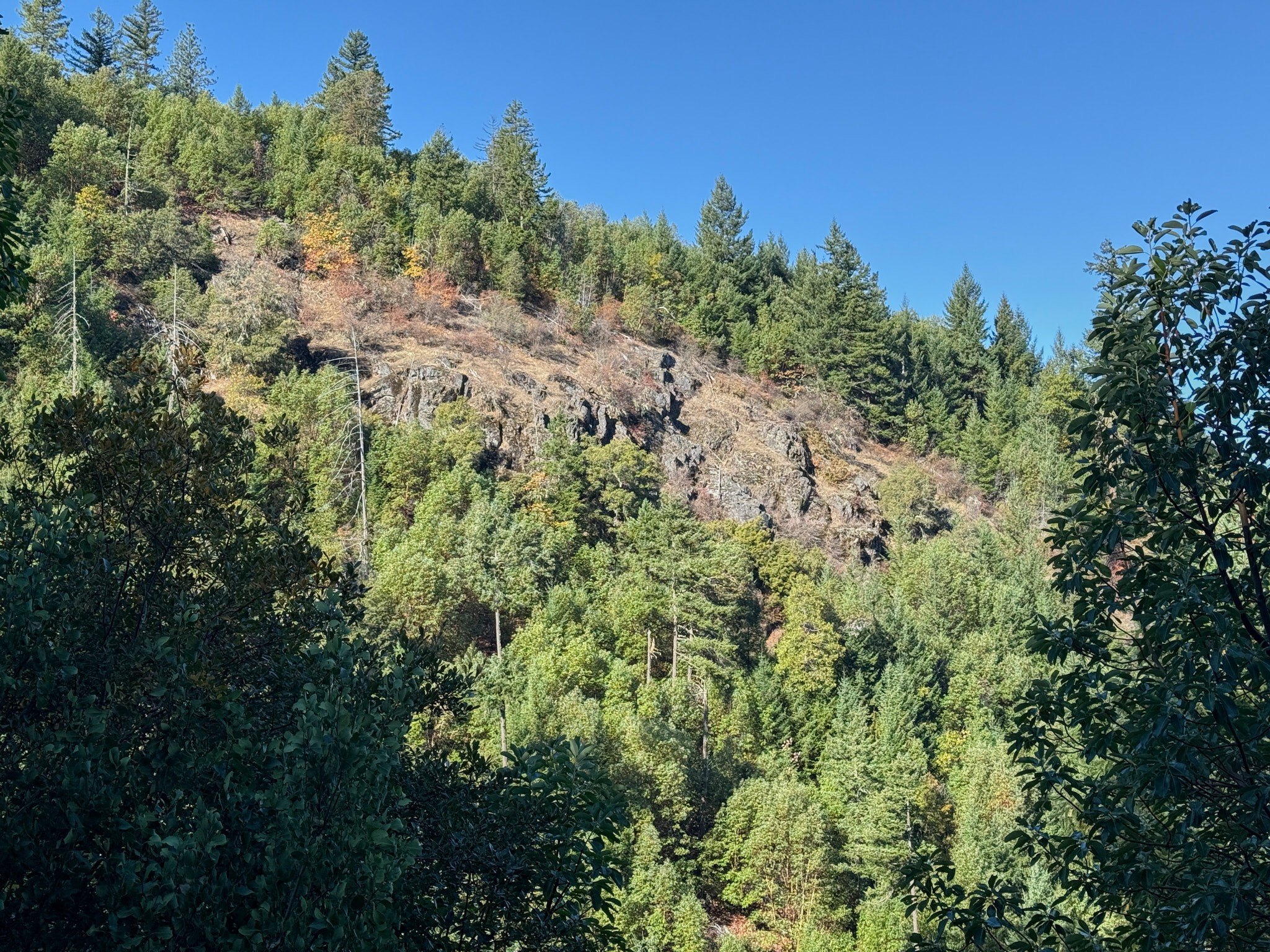 Rogue River Vacant Land Parcel