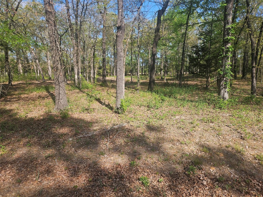 Picture 4