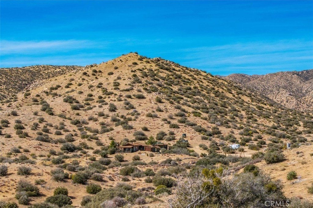 Picture 19