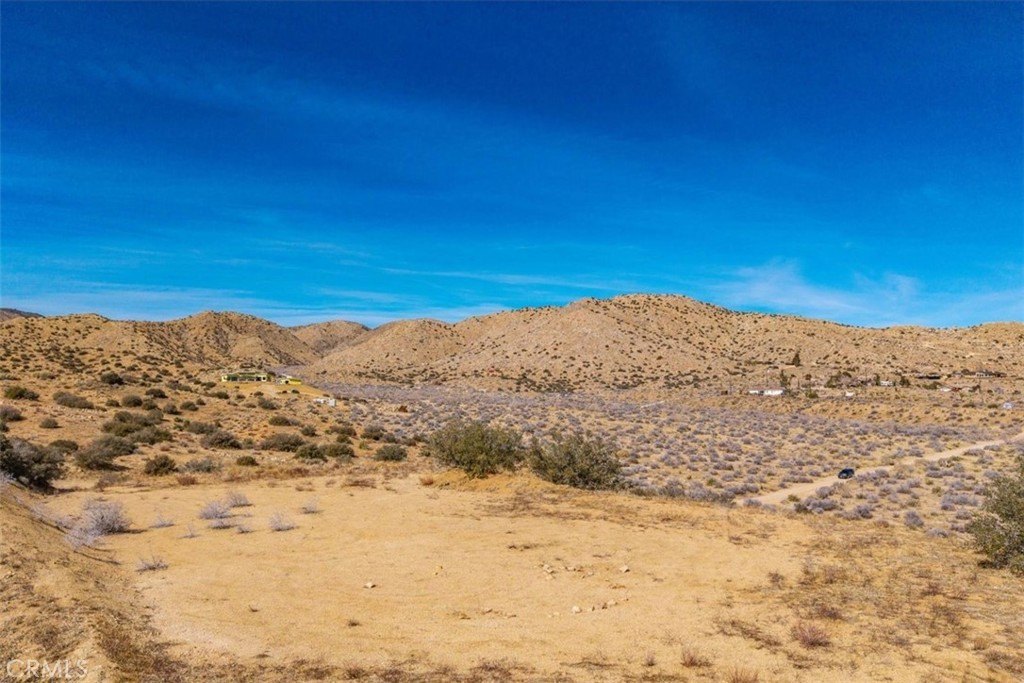 Picture 11
