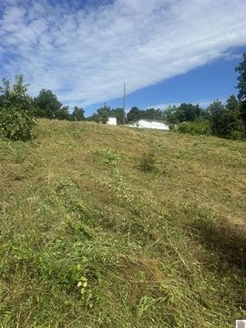 LAND - Hickman, KY