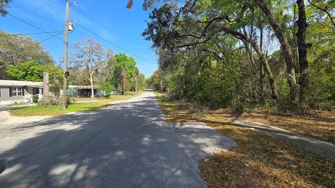 Fanning Springs Land Opportunity