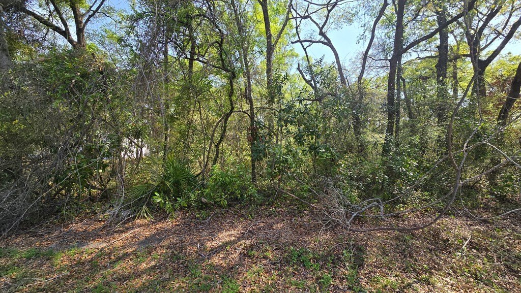 Picture 3