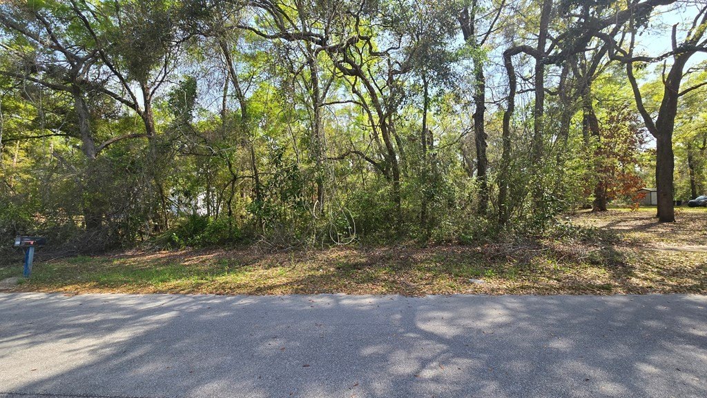 Picture 5