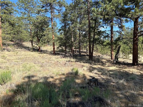 Land, Hartsel, CO
