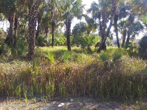 Buildable Lot in Palm Bay
