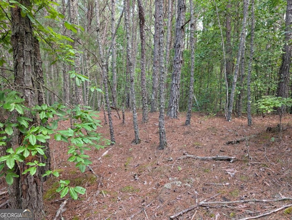 Picture 24