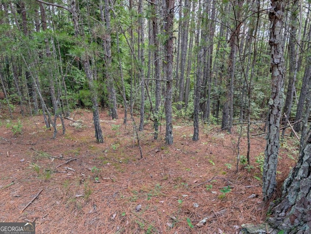 Picture 20