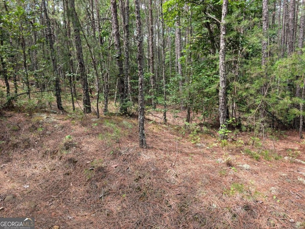 Picture 17