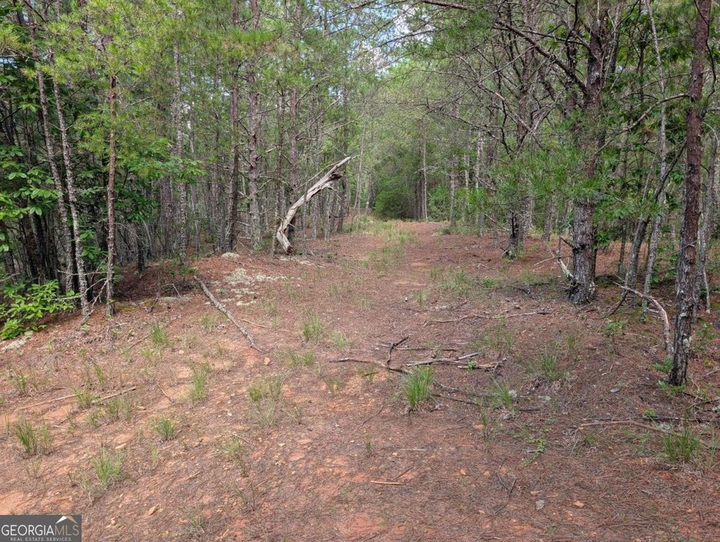 Picture 21