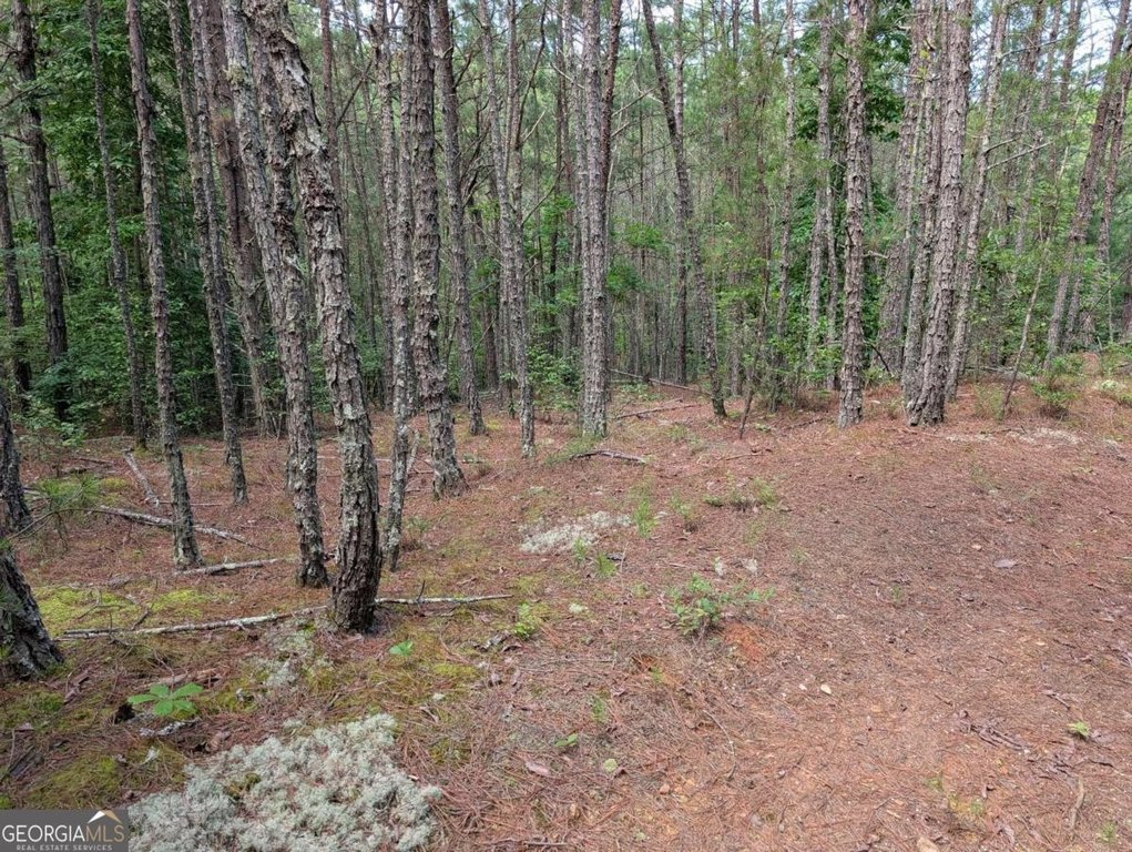 Picture 22