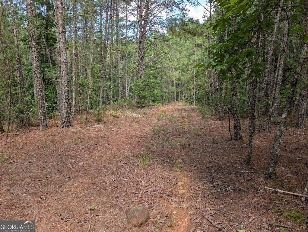 Picture 23