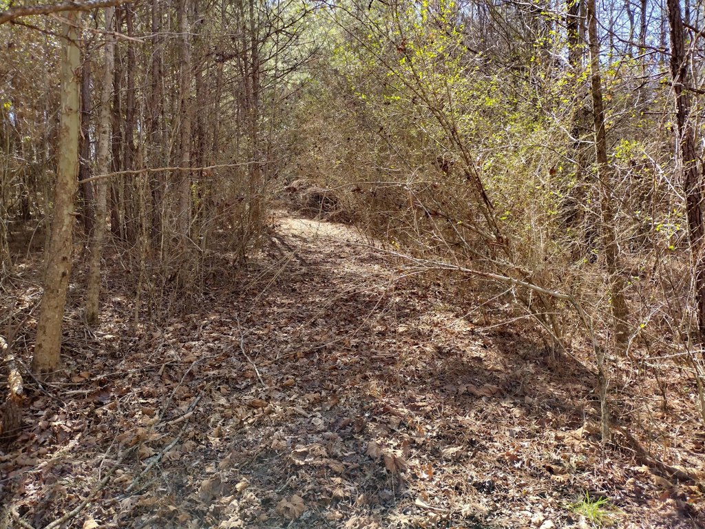 Picture 16