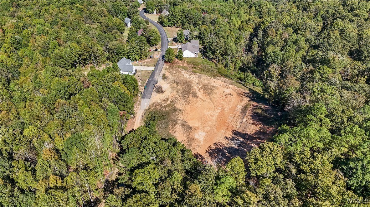 Northport Land Ready For Development