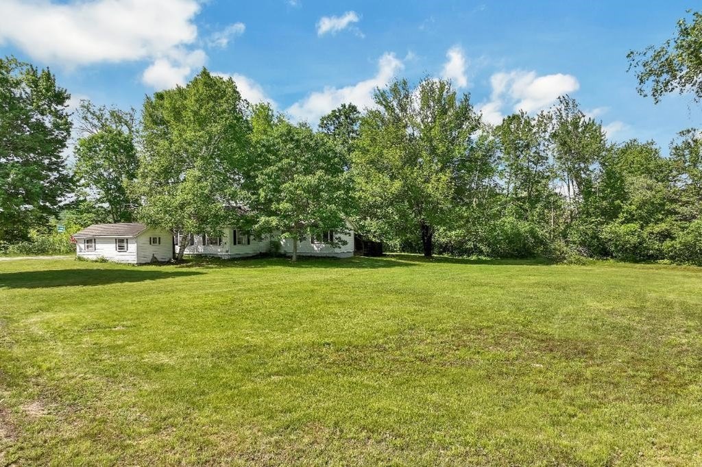 Picture 8