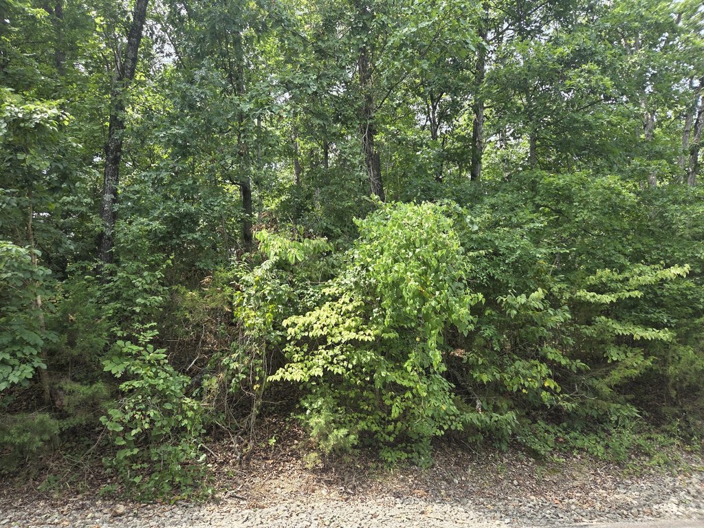 Picture 3