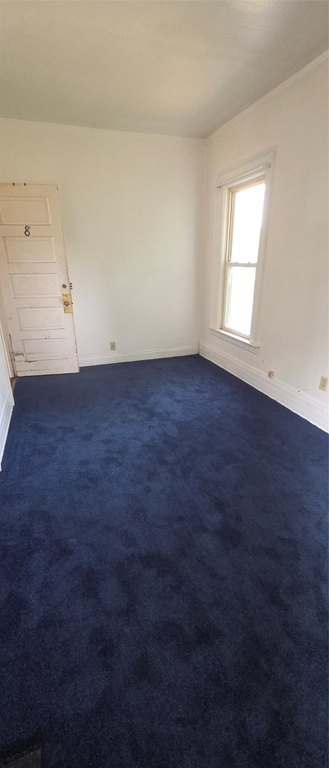Picture 26