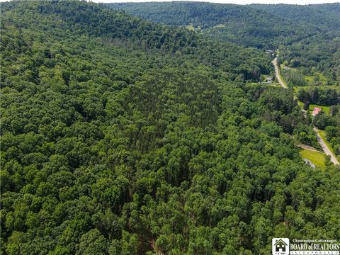 Secluded Wooded Land in Allegany