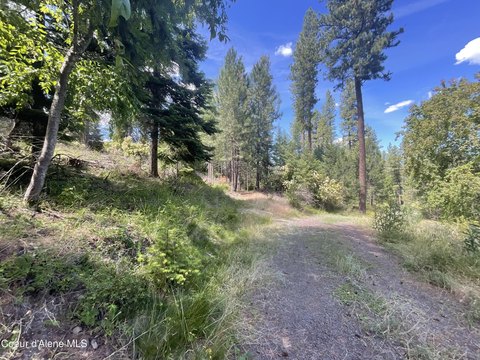 LAND - Worley, ID
