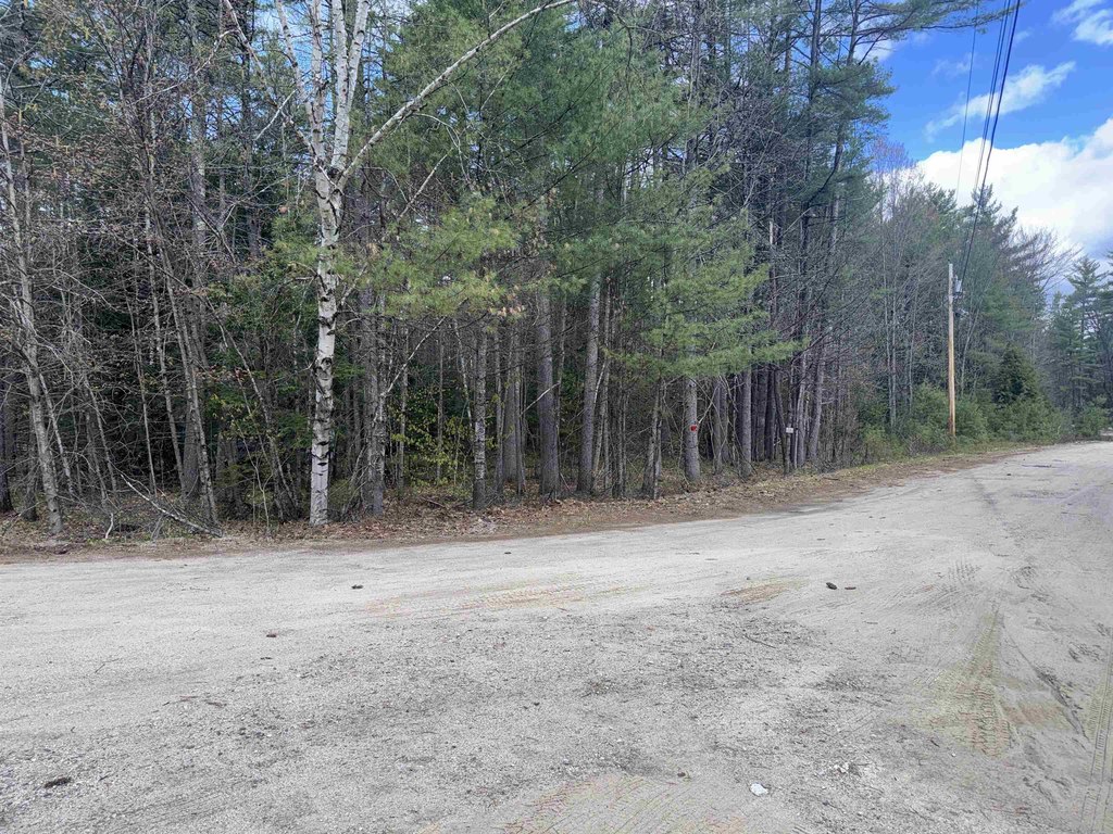 Picture 21