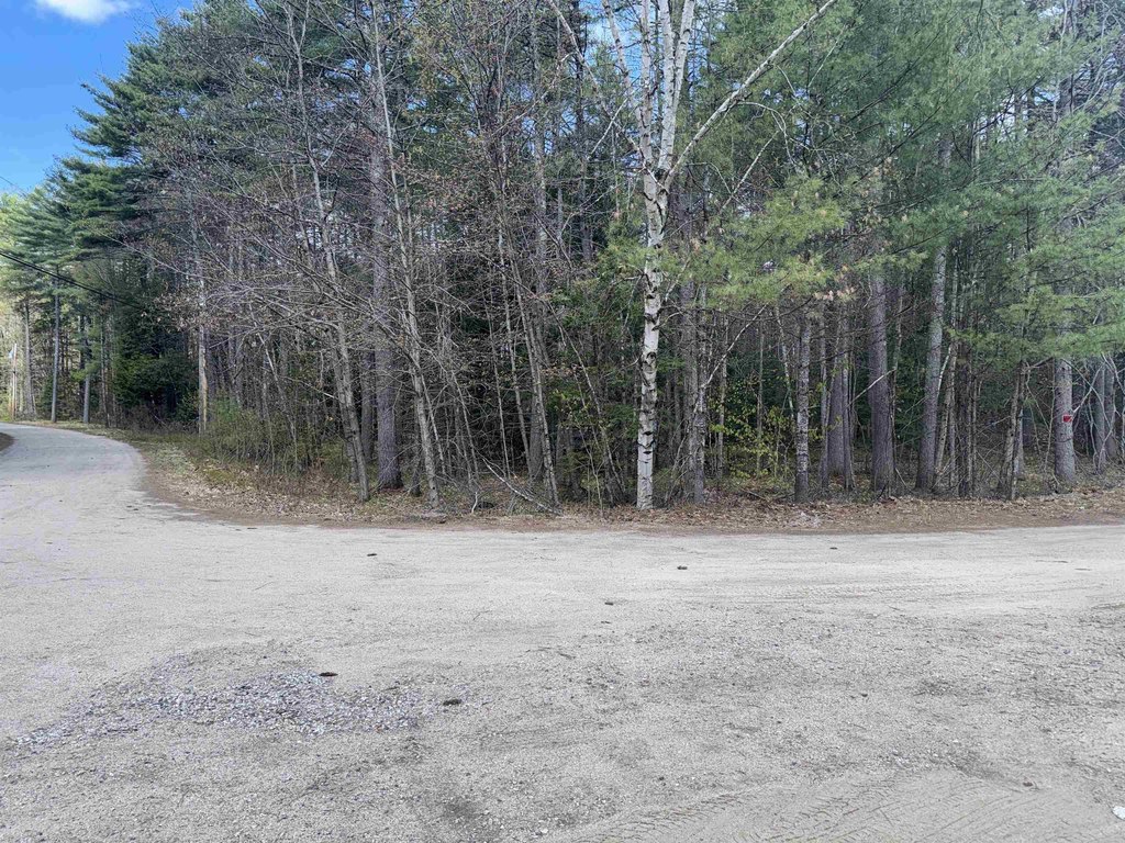 Picture 20