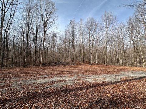 Jamestown, TN Land For Sale