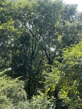 Land in Clarksville, Arkansas