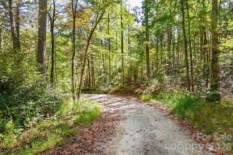 Creekside Land in Bear Track