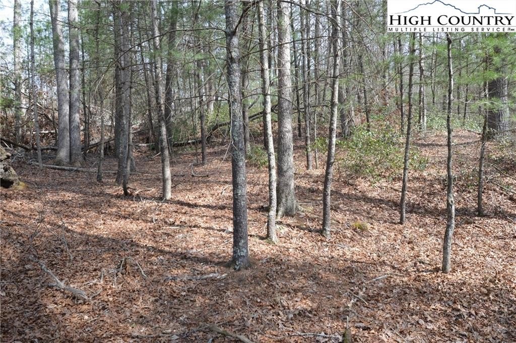 Bear Creek Building Lot
