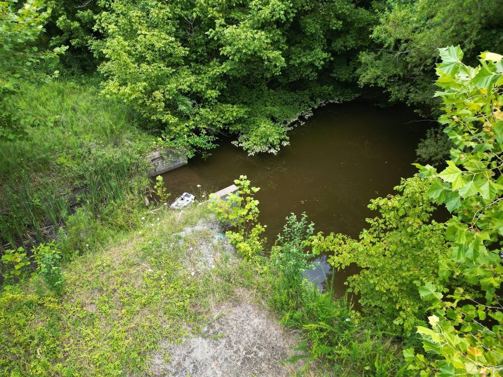 Picture 9