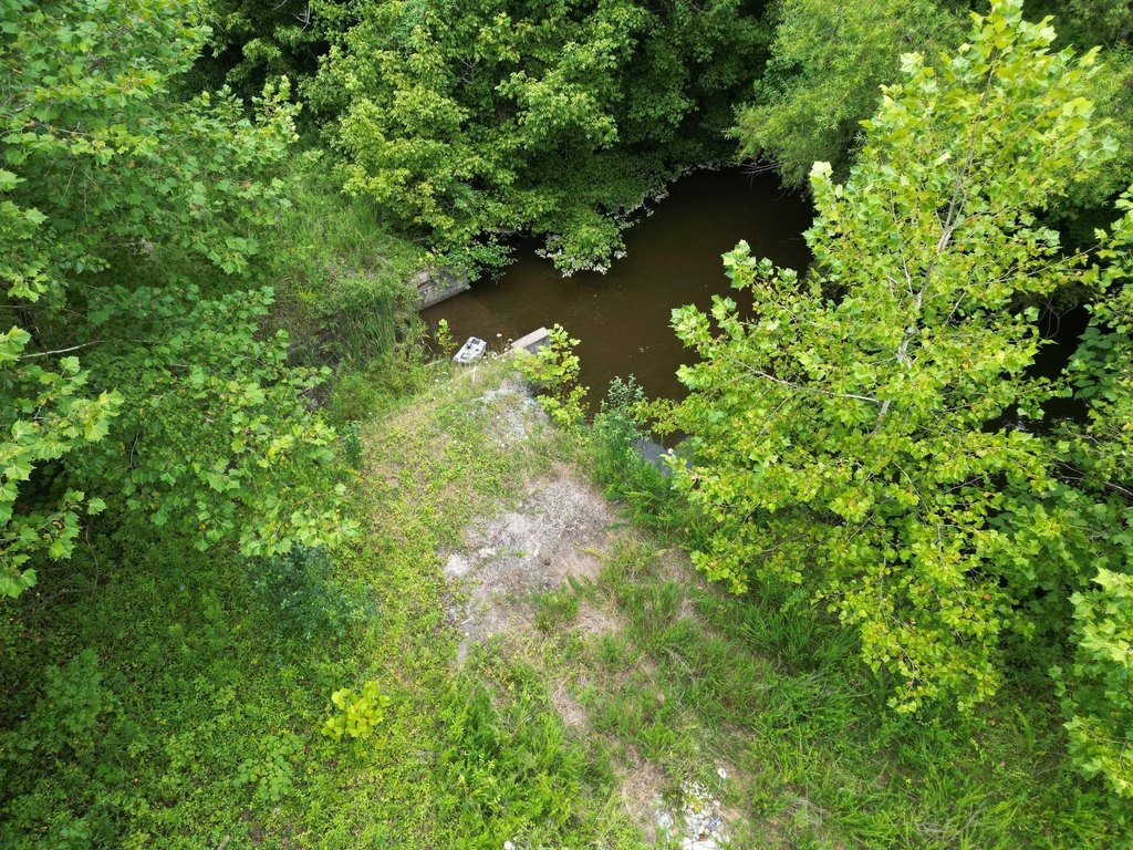 Picture 8