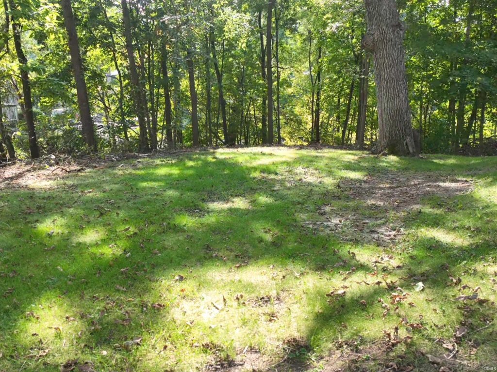 Picture 9