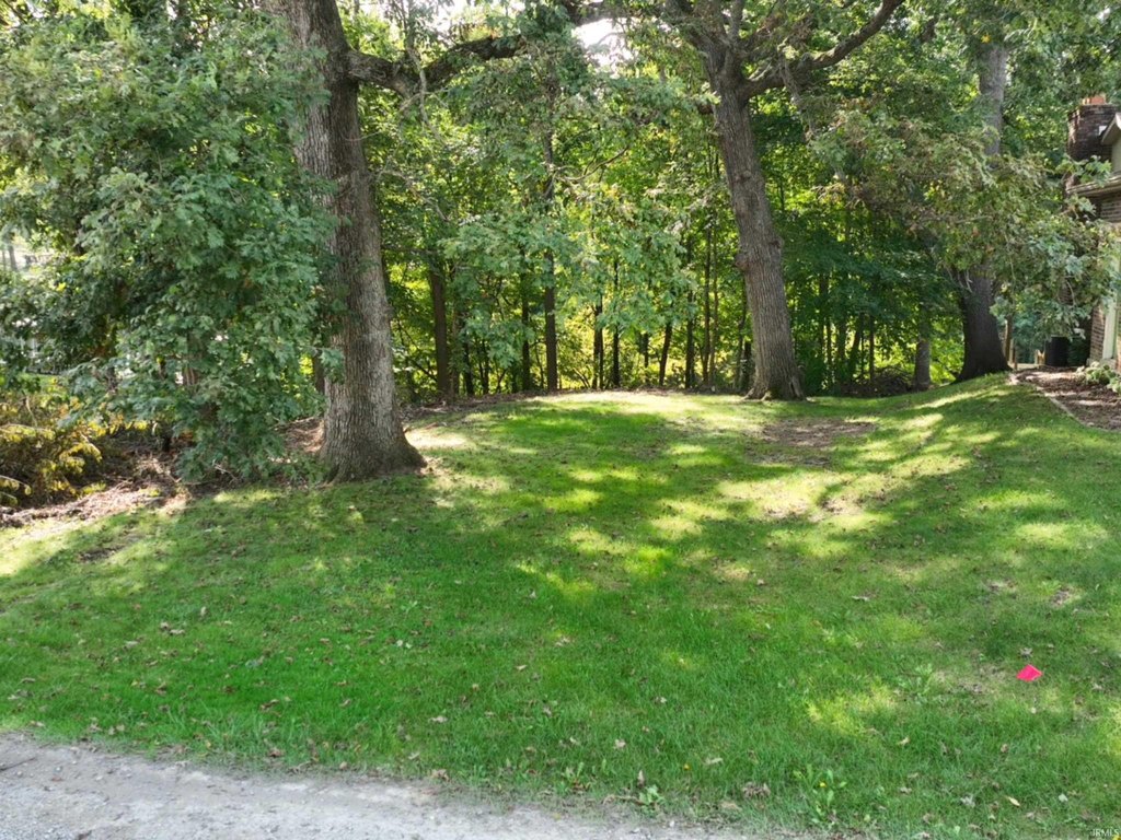Picture 11