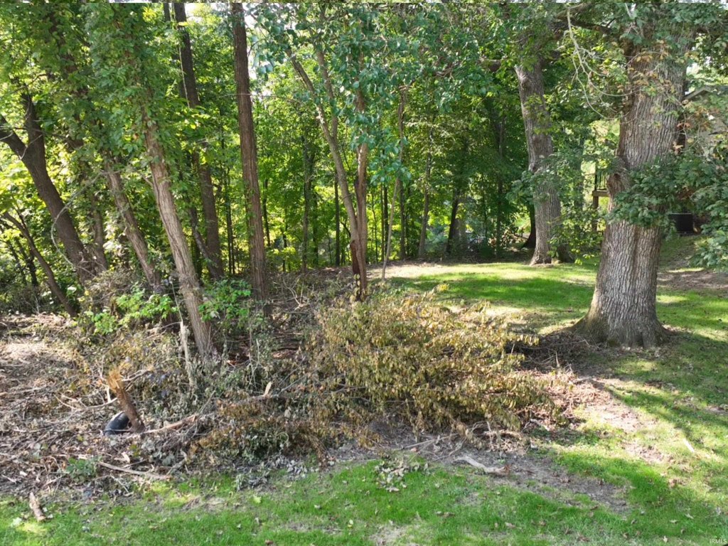 Picture 12