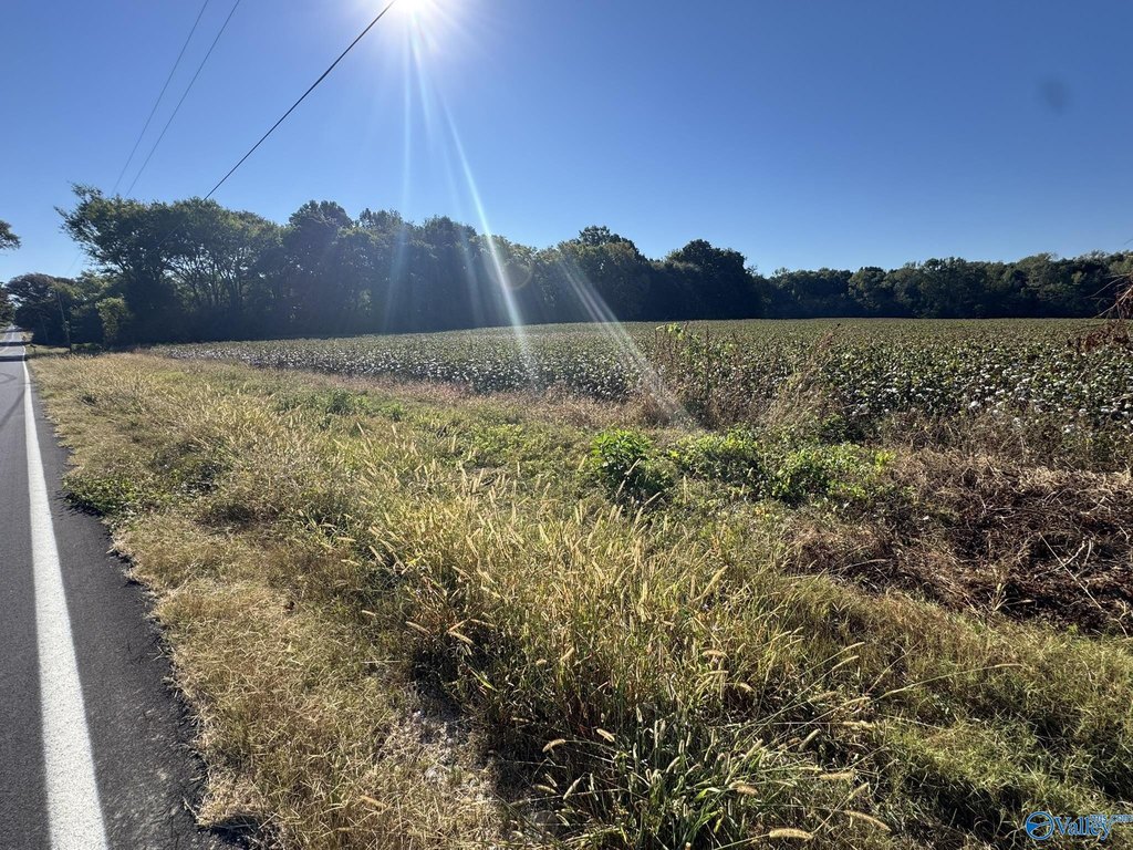Picture 19