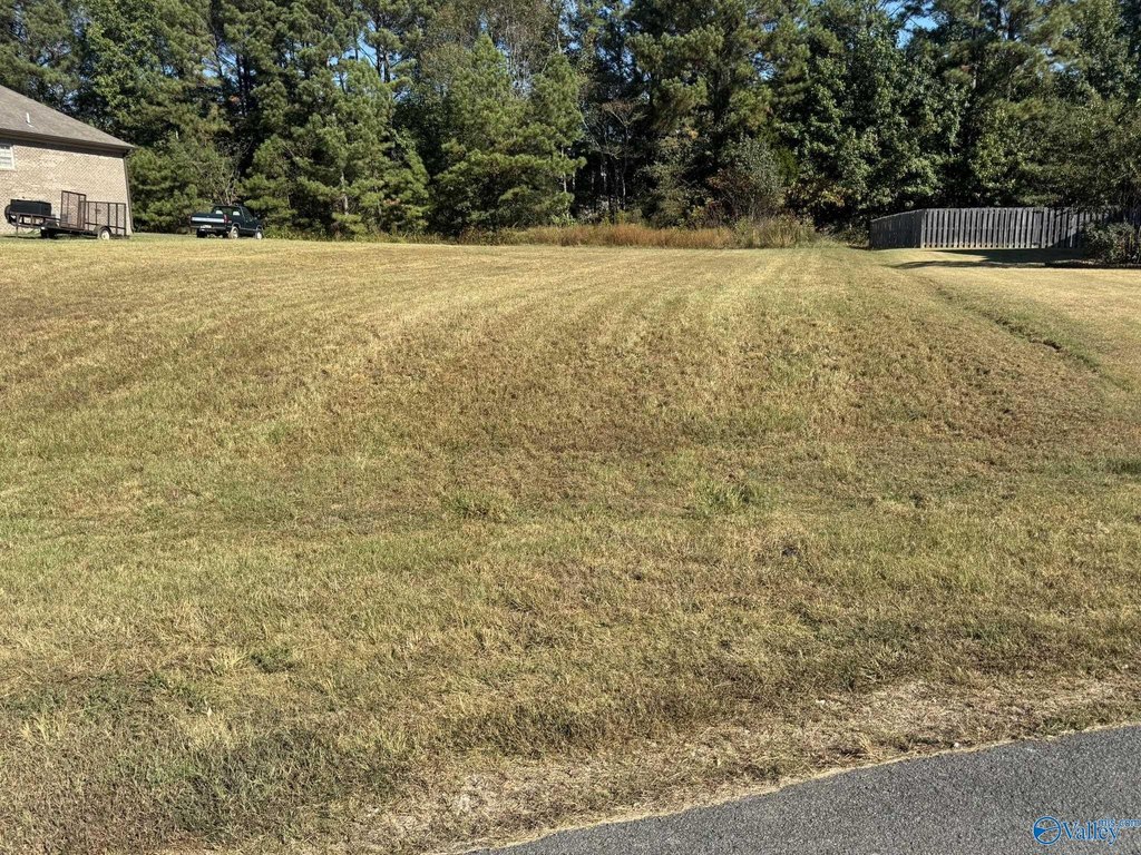 Picture 25