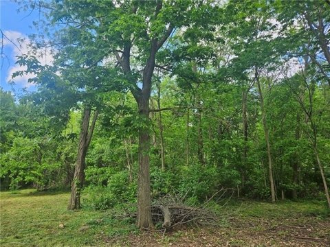 Land with Ponds and Trees