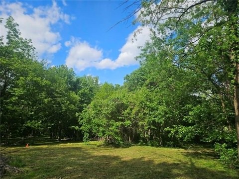 Land with Ponds and Trees