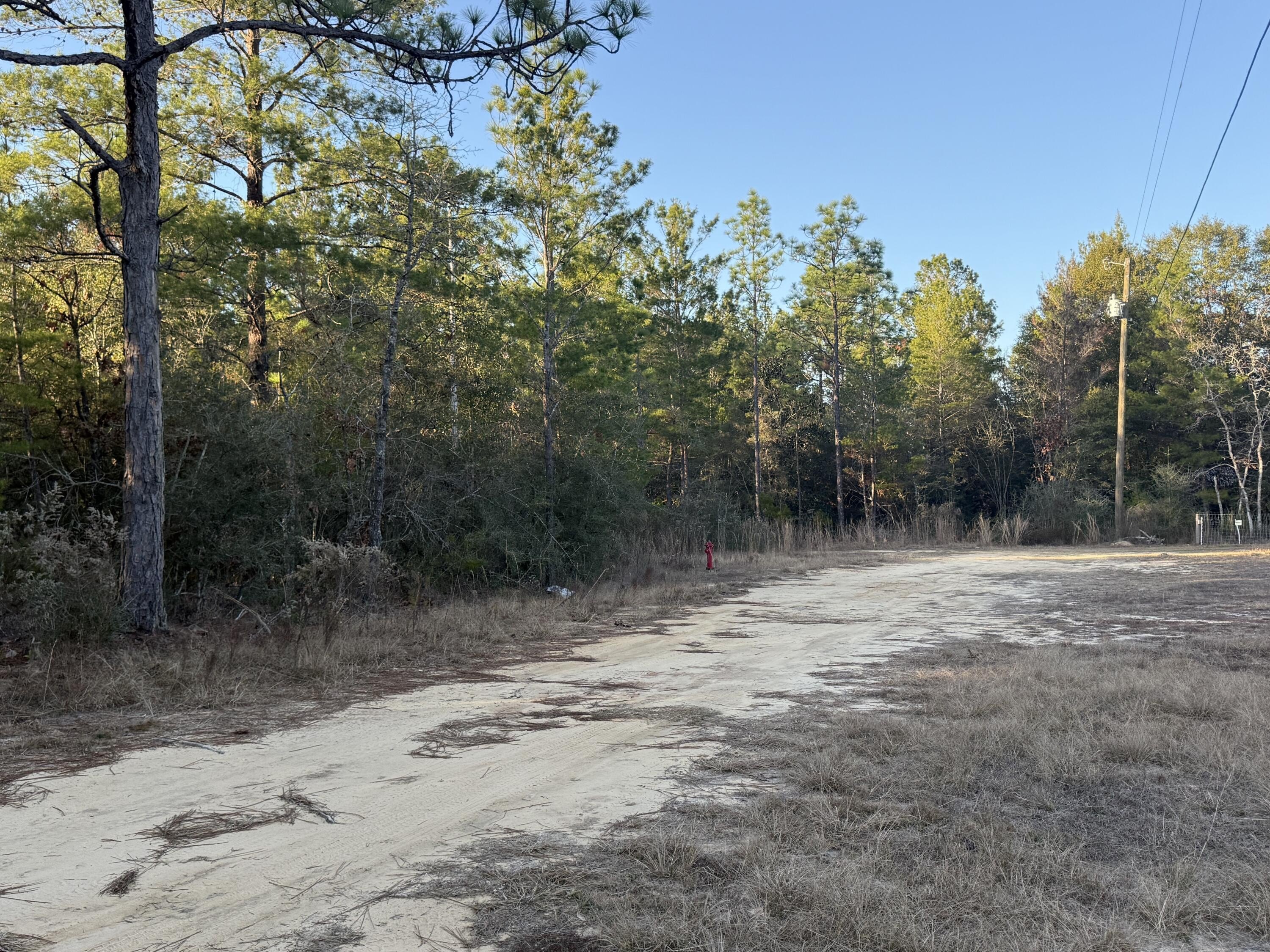 Versatile Homesite in Growing Area