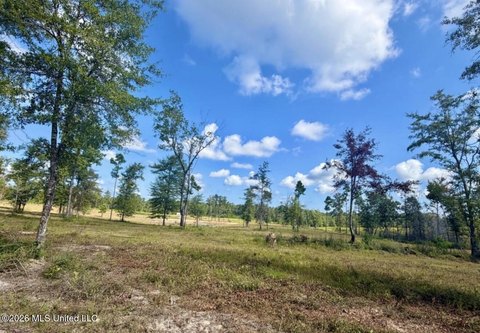 Land, Leakesville, MS